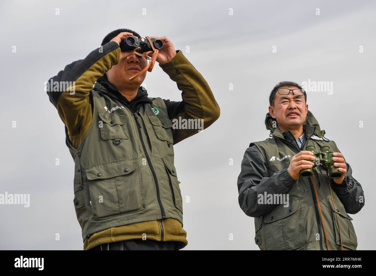 210331 -- BAICHENG, 31. März 2021 -- Mitglieder des Zhenlai Vogelschutzteams der China Wildlife Conservation Association beobachten Zugvögel im Zhenlai County, Baicheng City, nordöstliche Provinz Jilin, 31. März 2021. Eine Gruppe von Menschen läuft oft langsam und spricht mit einer niedrigen Stimme am Rande des Feuchtgebiets im Zhenlai County, wenn das Wetter sich erwärmt. Manchmal nehmen sie Ferngläser, um nach draußen zu schauen, und manchmal verbeugen sie sich, um die geografischen Koordinaten auf ihren Mobiltelefonen aufzuzeichnen. Sie sind Mitglieder des Vogelschutzteams Zhenlai des China Wildlife Conservation Associat Stockfoto