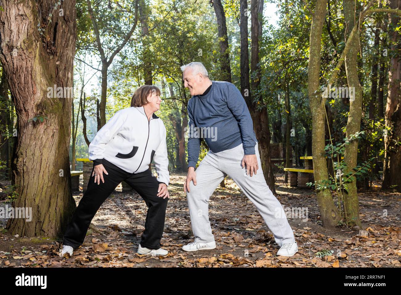 Seniorenpaar, das zusammen Aufwärmübungen macht Stockfoto