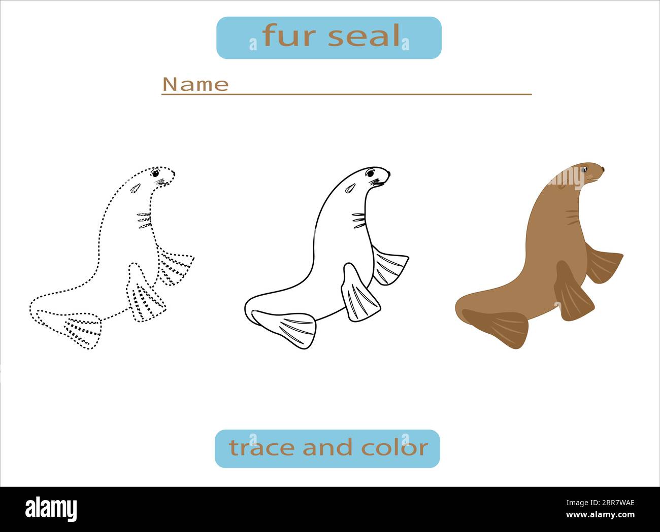 Kinderarbeitsblatt Färbung Pelzdichtung Umrisssilhouette und Farbe Vektor Stock Vektor
