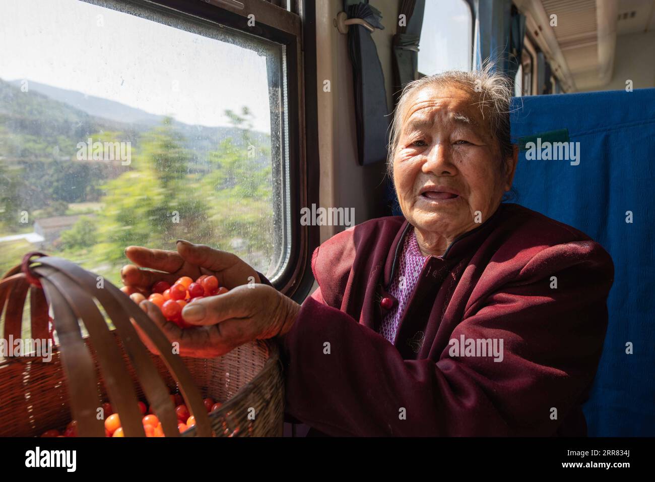 210415 -- XICHANG, 15. April 2021 -- eine ältere Frau bringt Kirschen nach Xichang City zum Verkauf in einem Hochgeschwindigkeitszug in der südwestchinesischen Provinz Sichuan, 11. April 2021. Während moderne Hochgeschwindigkeitszüge an neuen Bahnhöfen in ganz China vorbeifahren, verkehren noch immer ein Paar langsame Züge durch das Daliang-Gebirge. Die 5633/5634 Züge verkehren zwischen Puxiong und Panzhihua in der Provinz Sichuan mit einer durchschnittlichen Geschwindigkeit von weniger als 40 km/h. Die Fahrt mit 26 Stationen dauert zwischen elf Stunden und vier Minuten, wobei die Ticketpreise zwischen 2 Yuan und 25,5 Yuan etwa 0,3 bis 3,9 US-Dollar betragen. Der langsame SP Stockfoto