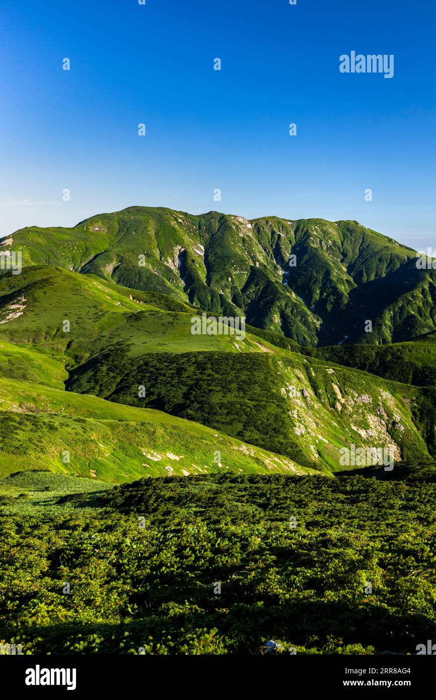 Asahi Mountain Range, Mt.Itoh(Itohdake),100 Berge von Japan, Yamagata, Tohoku, Japan, Asien Stockfoto