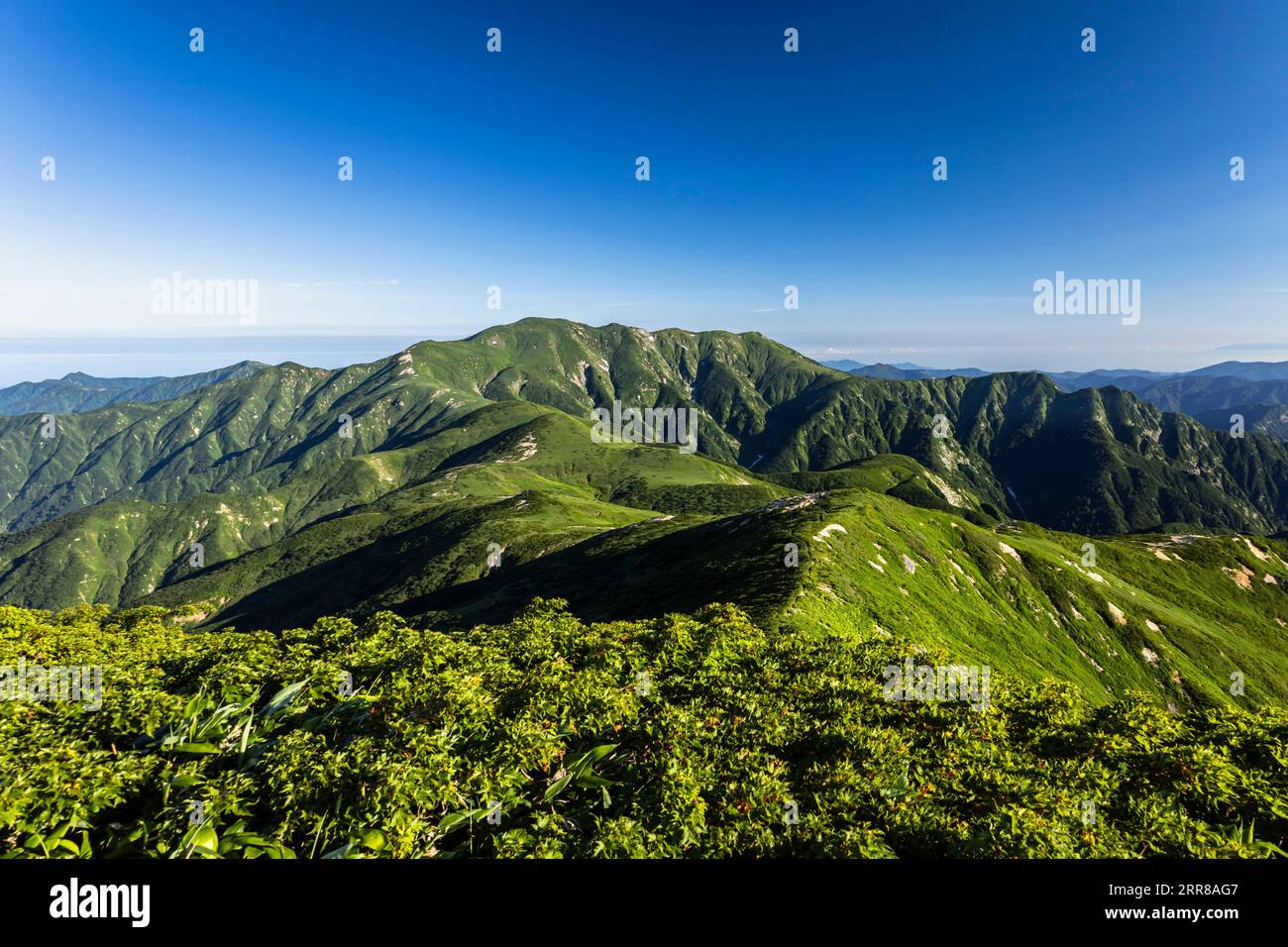 Asahi Mountain Range, Mt.Itoh(Itohdake),100 Berge von Japan, Yamagata, Tohoku, Japan, Asien Stockfoto