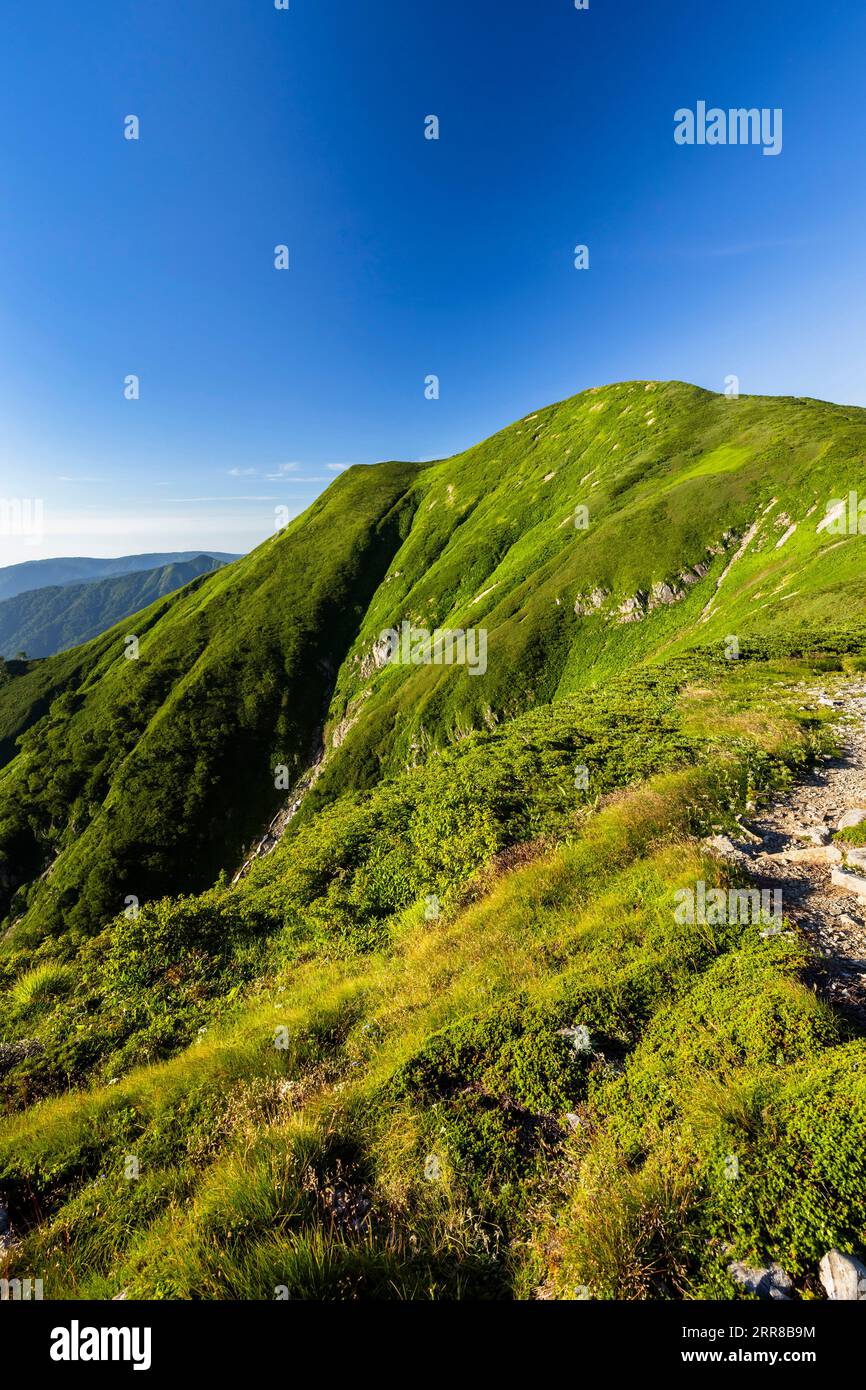 Asahi Mountain Range, Ridgeline des höchsten Berges Ohasahidake, von Trail, 100 Berge von Japan, Yamagata, Tohoku, Japan, Asien Stockfoto