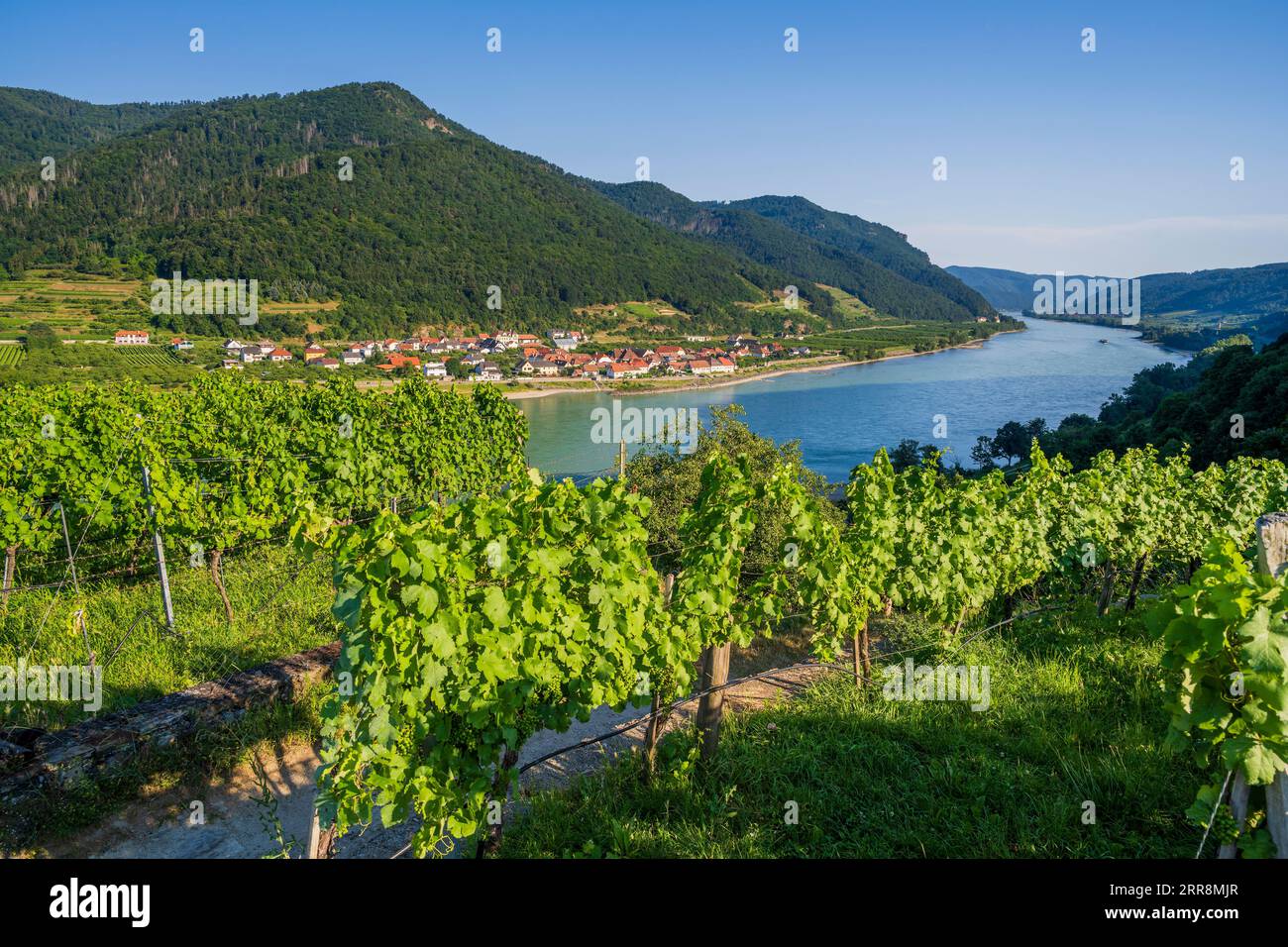 Malerischer Blick auf die Donau, Spitz, Niederösterreich, Österreich Stockfoto