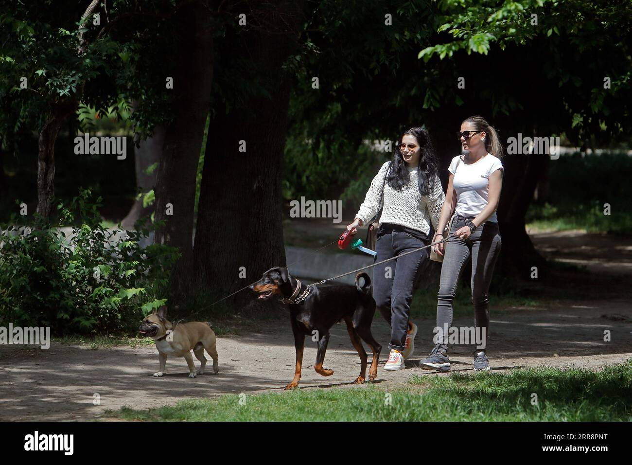 210515 -- BUKAREST, 15. Mai 2021 -- Menschen gehen ihre Hunde in einem Park in Bukarest, Rumänien, 15. Mai 2021. Der rumänische Premierminister Florin Citu sagte, die Regierung habe am Freitag beschlossen, die Coronavirus-bedingten Beschränkungen des Landes ab Samstag schrittweise zu lockern. Ab Samstag wird die nächtliche Ausgangssperre aufgehoben, und die obligatorischen Maskenvorschriften werden nur in geschlossenen öffentlichen Räumen und überfüllten öffentlichen Räumen, einschließlich Märkten, öffentlichen Verkehrsmitteln und Arbeitsplätzen, angewendet. Foto: /Xinhua ROMANIA-BUKAREST-COVID-19-EASE CristianxCristel PUBLICATIONxNOTxINxCHN Stockfoto