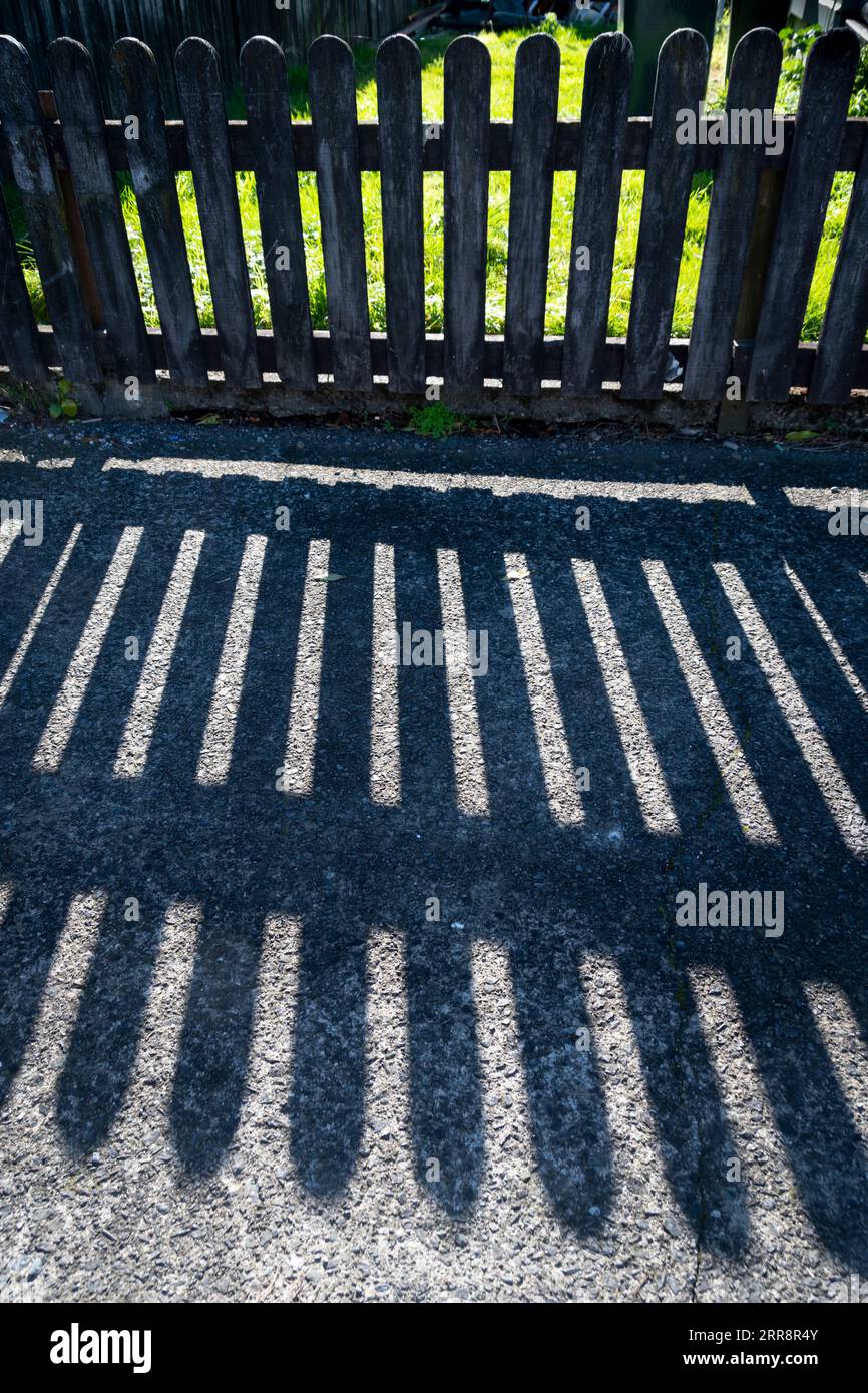 Picket Zaun und Schatten, Petone, Wellington, Nordinsel, Neuseeland Stockfoto