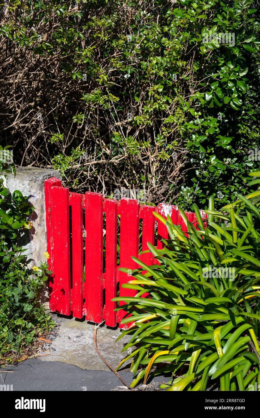 Red Gate, Wellington, Nordinsel, Neuseeland Stockfoto