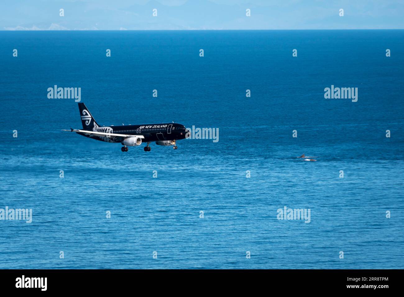 Flugzeuge nähern sich dem Flughafen Wellington, North Island, Neuseeland Stockfoto