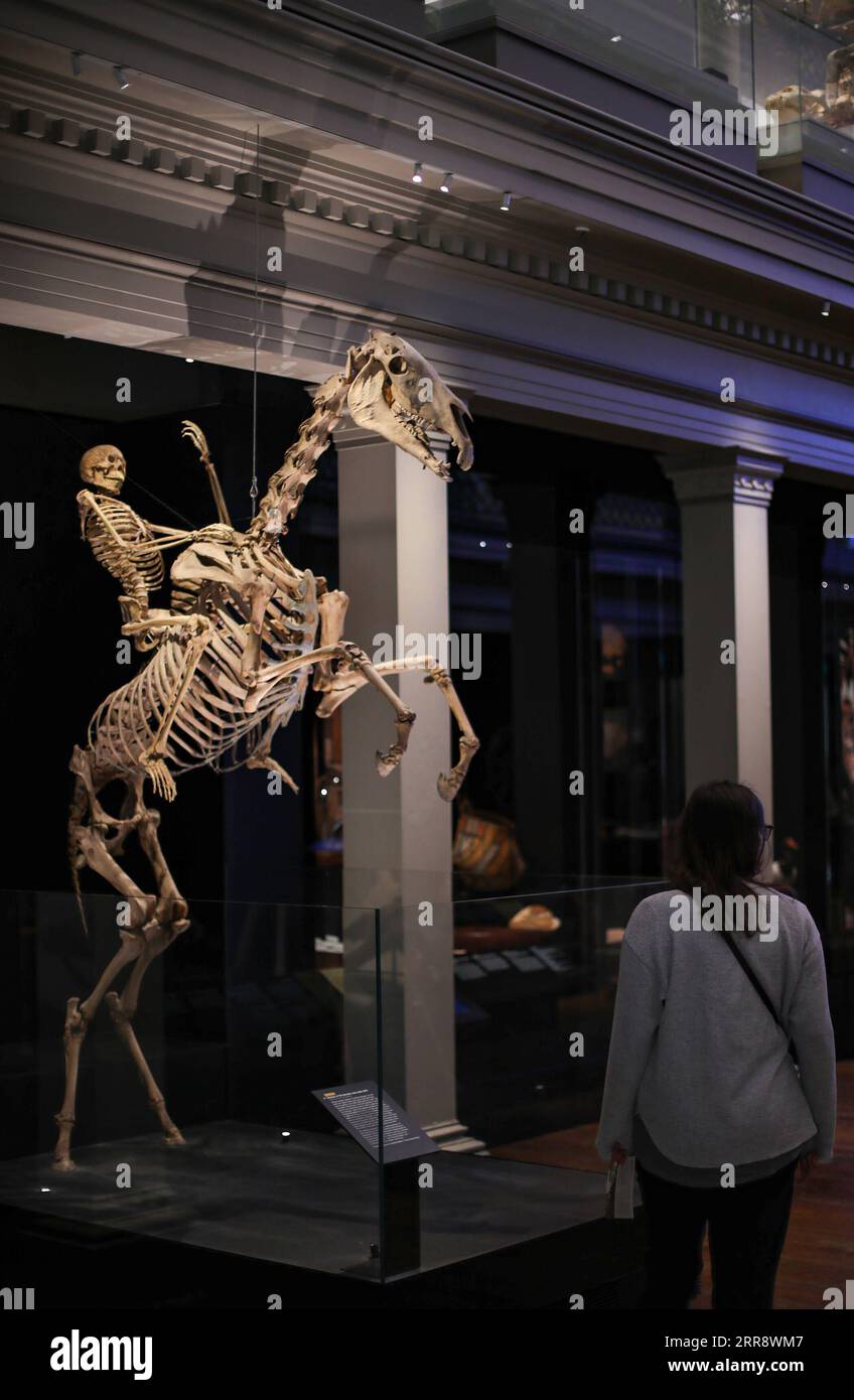 210519 -- SYDNEY, 19. Mai 2021 -- Eine Frau besucht das Australian Museum in Sydney, Australien am 18. Mai 2021. Das Australian Museum ist das älteste Museum Australiens und hat einen internationalen Ruf in den Bereichen Naturgeschichte und Anthropologie. Es wurde zuerst nach dem zeitgenössischen europäischen Modell eines enzyklopädischen Lagers der Kultur- und Naturgeschichte konzipiert und entwickelt und umfasst Sammlungen von Vertebraten- und Wirbellosen-Zoologie. AUSTRALIA-SYDNEY-AUSTRALIAN MUSEUM BaixXuefei PUBLICATIONxNOTxINxCHN Stockfoto