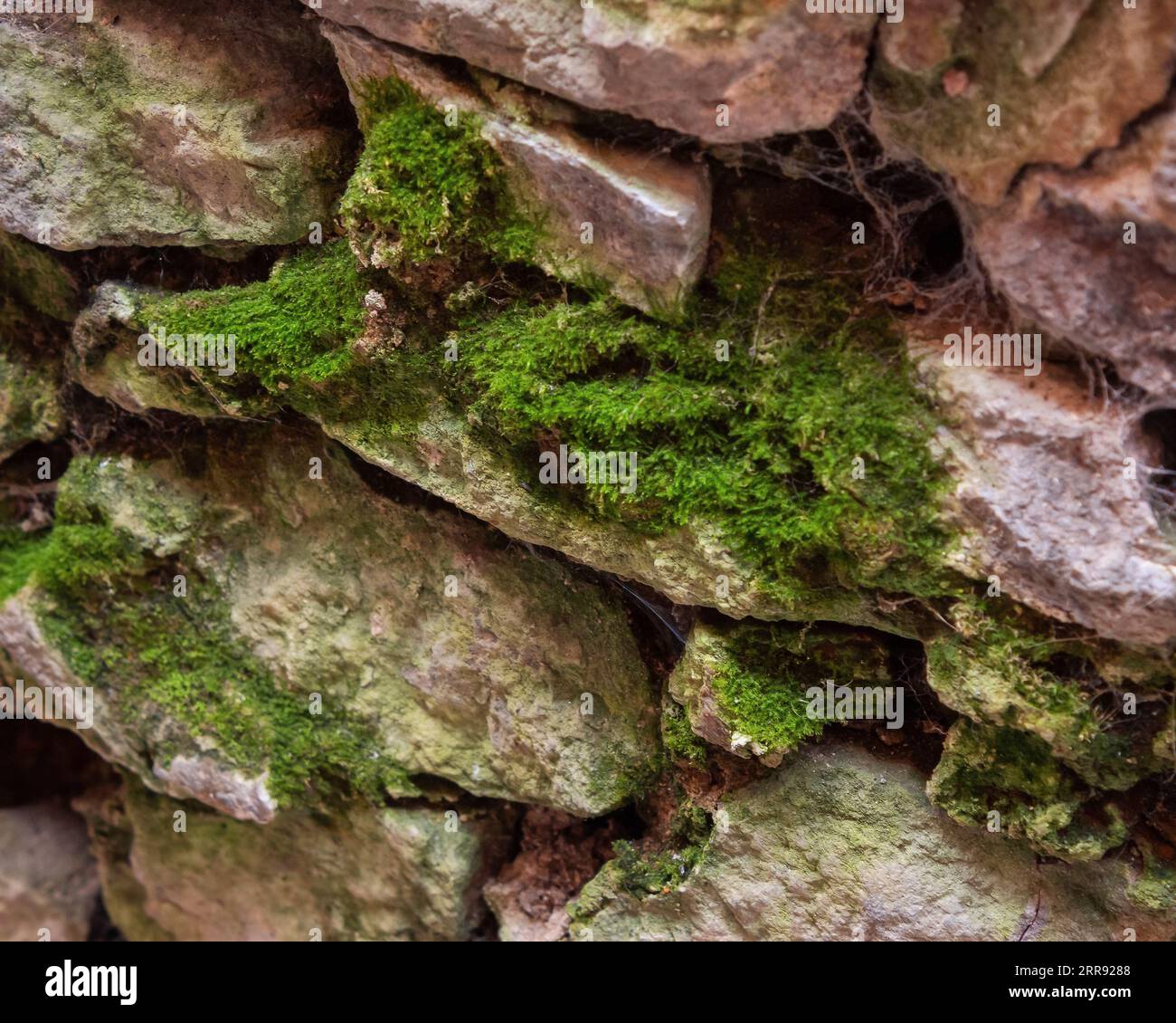 Muster der Steinwand. Alte raue Oberfläche Stockfoto