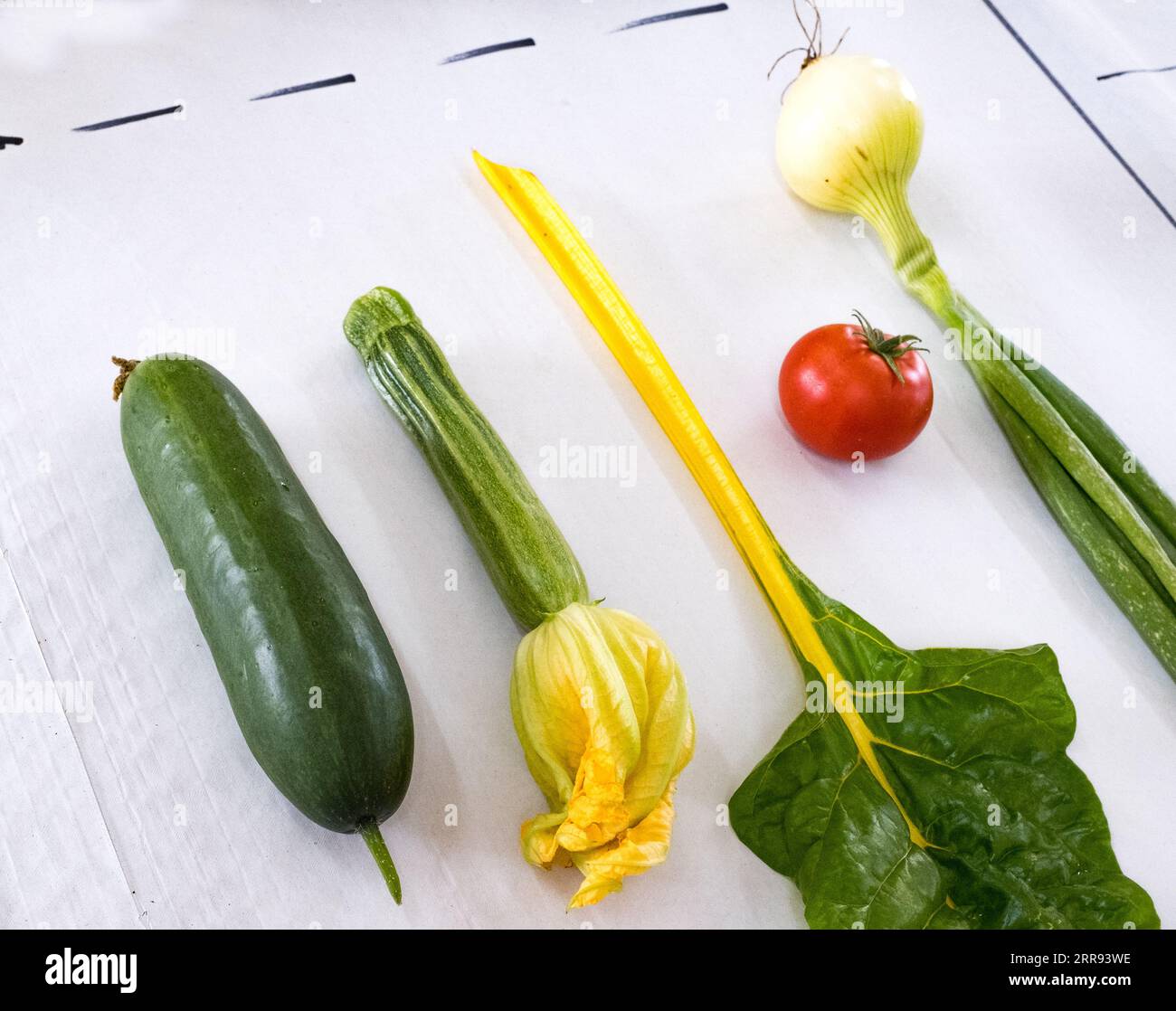 Eine Auswahl an preiswertem Gemüse nahm an einer Herbstshow des Dorfes Teil. Stockfoto