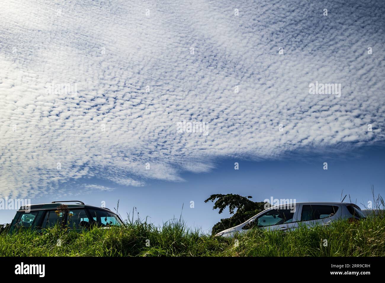Ein Makrelenhimmel aus Cirrocumulus- oder Alcumulus-Wolken in großer Höhe. Stockfoto