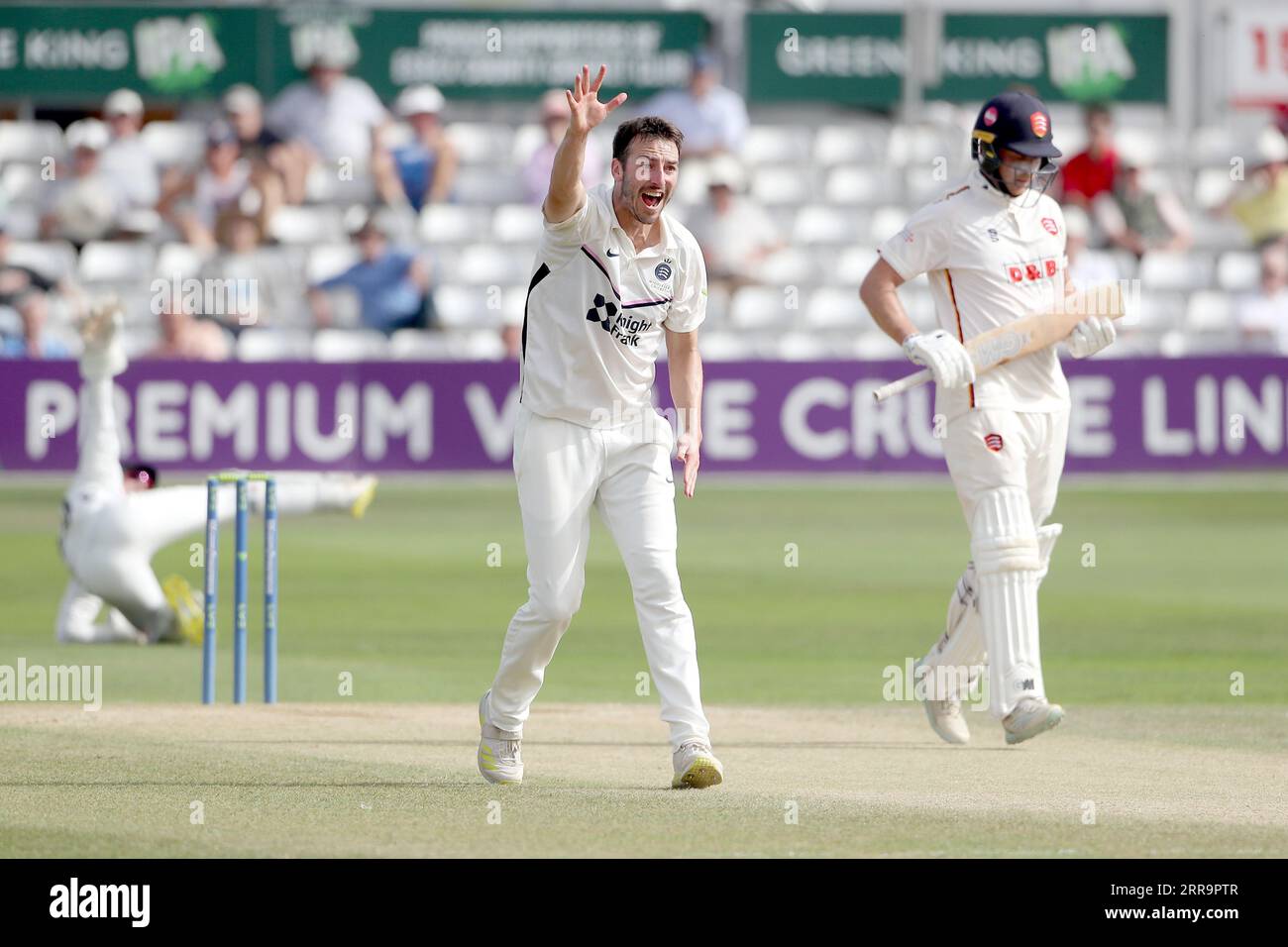 Toby Roland-Jones aus Middlesex spricht sich für das Wicket von Tom Westley während des Essex CCC gegen Middlesex CCC, LV Insurance County Championship Division 1 CR aus Stockfoto
