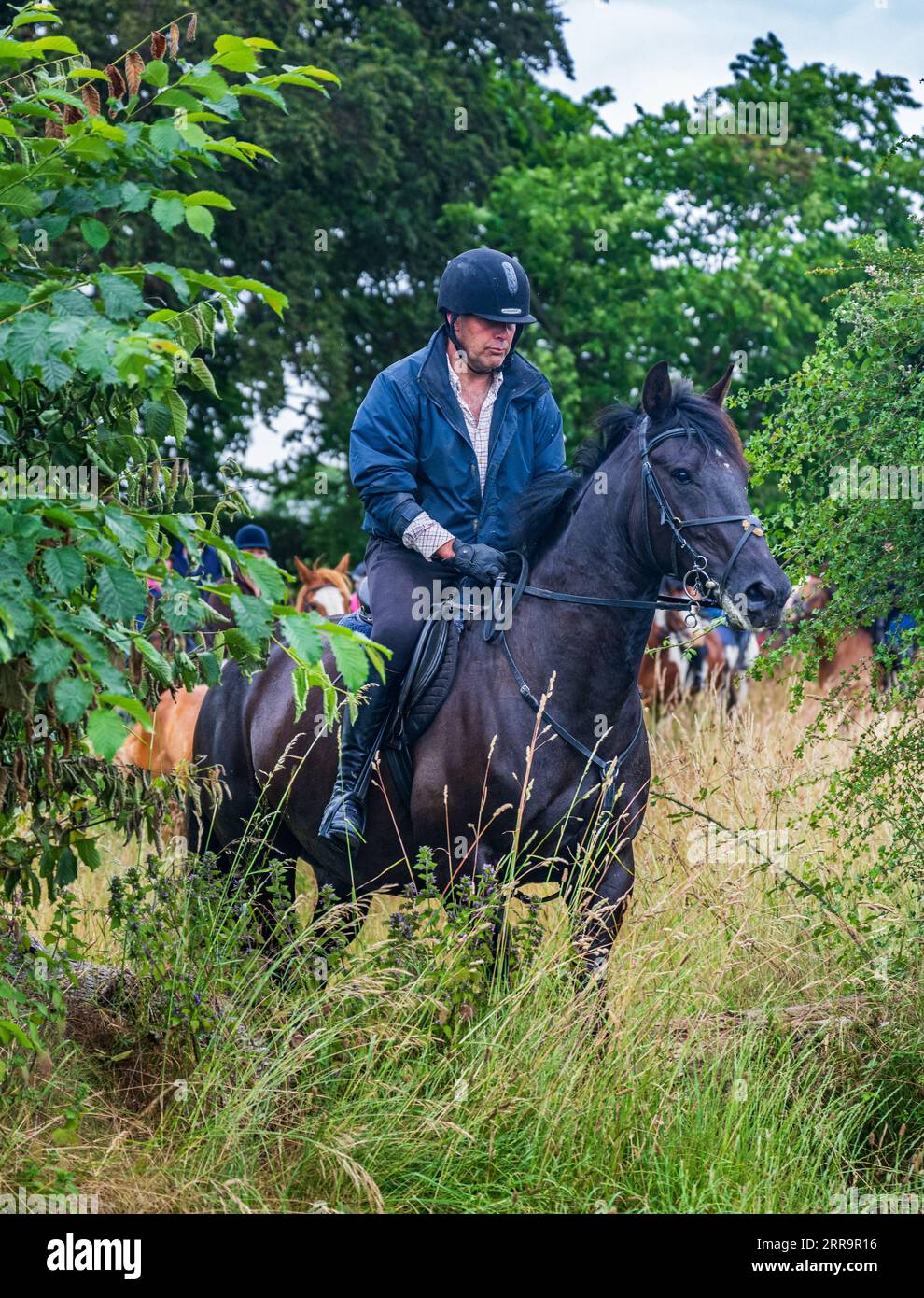 Eifrige Reiter navigieren anmutig an einem sonnendurchfluteten Sommerabend und springen über eine Blockbarriere durch eine Heckenlücke Stockfoto