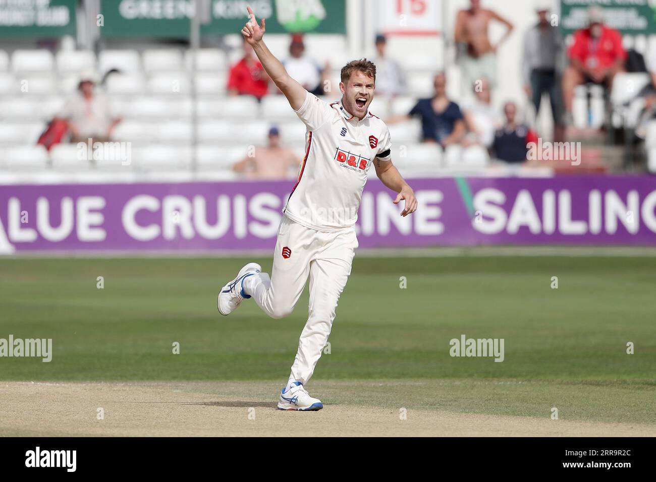 Jamie Porter aus Essex bittet um ein Wicket während des Essex CCC vs Middlesex CCC, LV Insurance County Championship Division 1 Cricket im Cloud County Stockfoto