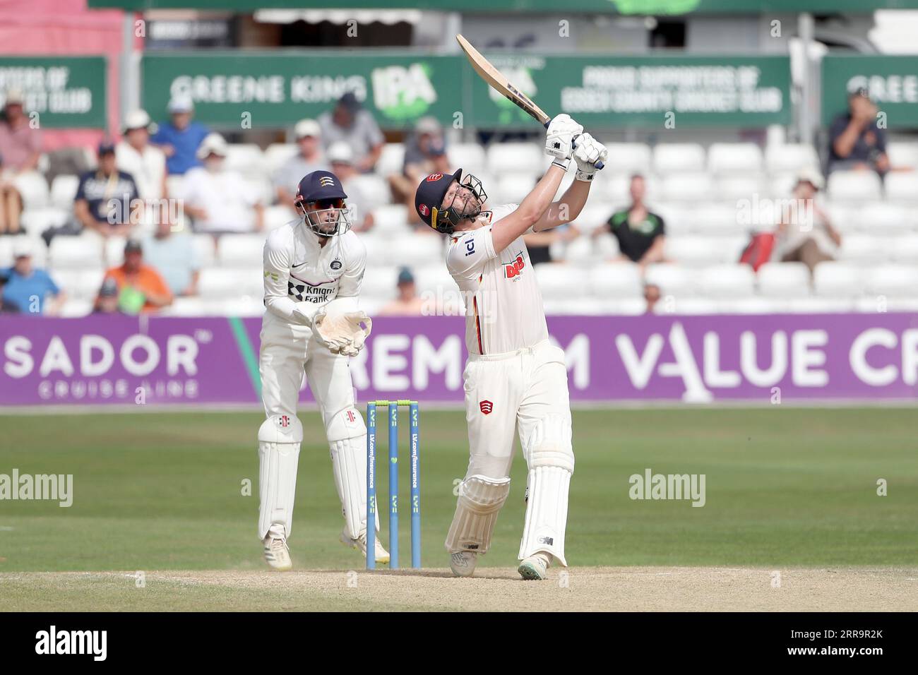 Matt Critchley im Kampf gegen Essex während des Essex CCC vs Middlesex CCC, LV Insurance County Championship Division 1 Cricket im Cloud County Stockfoto