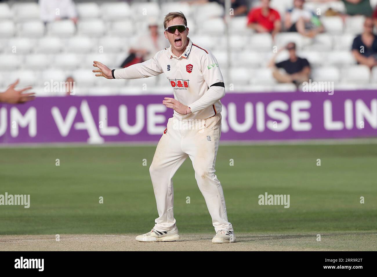 Simon Harmer aus Essex bittet um ein Wicket während des Essex CCC vs Middlesex CCC, LV Insurance County Championship Division 1 Cricket im Cloud County Stockfoto