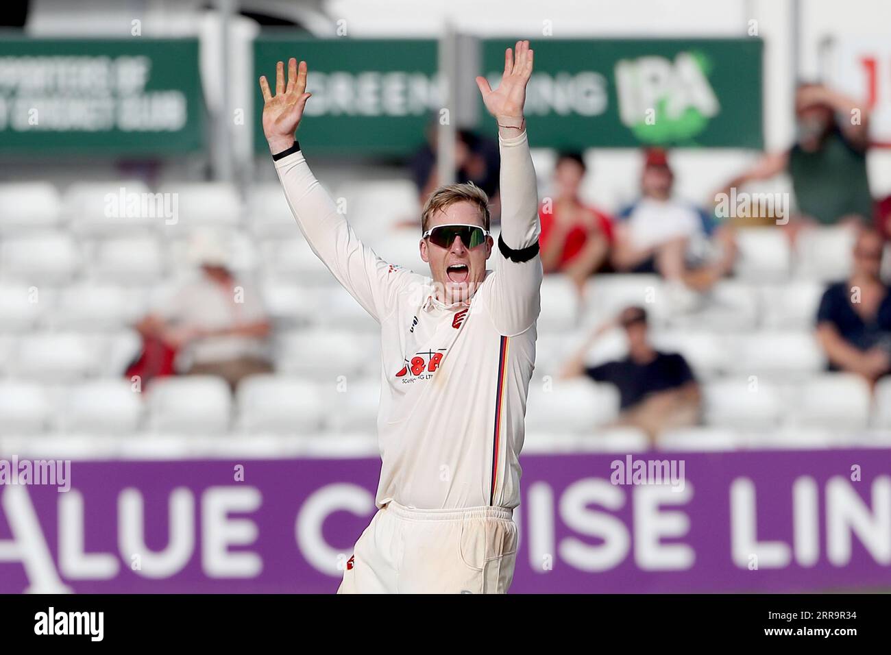 Simon Harmer aus Essex bittet um ein Wicket während des Essex CCC vs Middlesex CCC, LV Insurance County Championship Division 1 Cricket im Cloud County Stockfoto