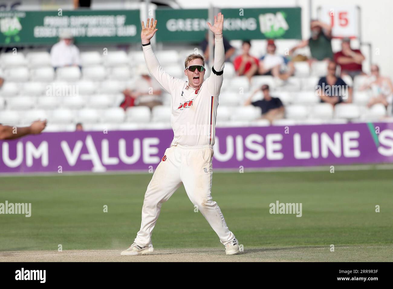 Simon Harmer aus Essex bittet um ein Wicket während des Essex CCC vs Middlesex CCC, LV Insurance County Championship Division 1 Cricket im Cloud County Stockfoto