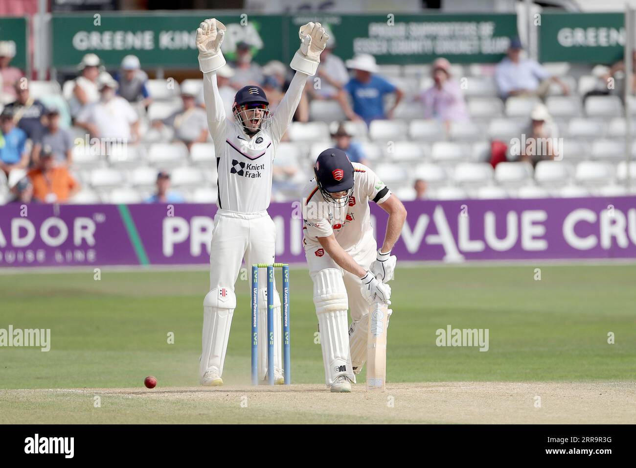John Simpson von Middlesex appelliert an Tom Westley während des Essex CCC vs Middlesex CCC, LV Insurance County Championship Division 1 Cricket Stockfoto