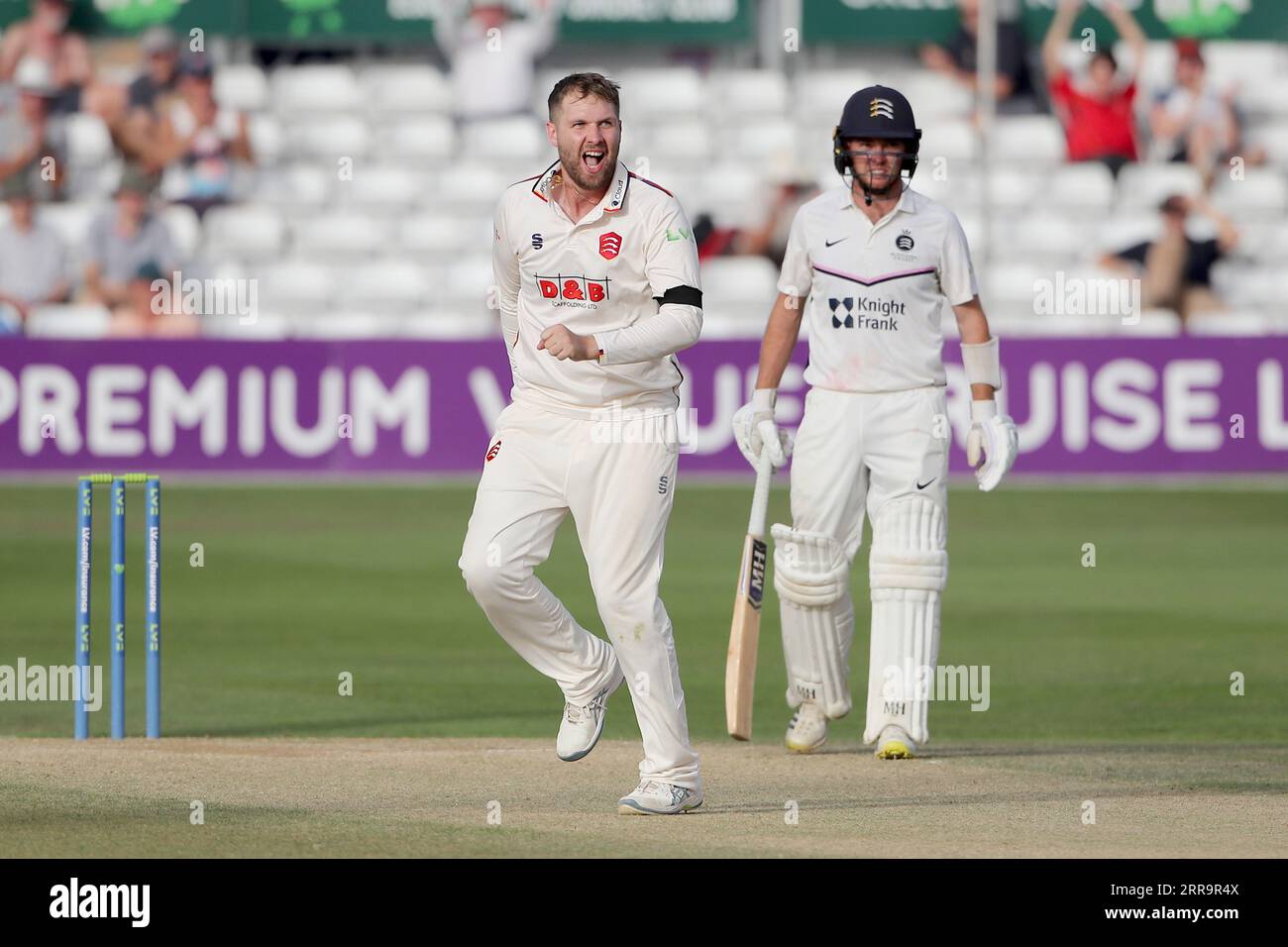 Matt Critchley aus Essex feiert den Sieg von John Simpson während des Essex CCC gegen Middlesex CCC, LV Insurance County Championship Division 1 CR Stockfoto