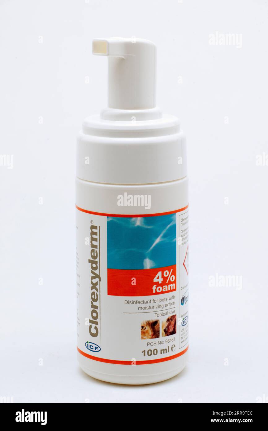 100 ml No Rinse Foam Spray Behälter mit Clorexyderm 4% Foam Behandlung für Hunde und Katzen, hilft bei der Kontrolle von Bakterien und Pilzwachstum Stockfoto