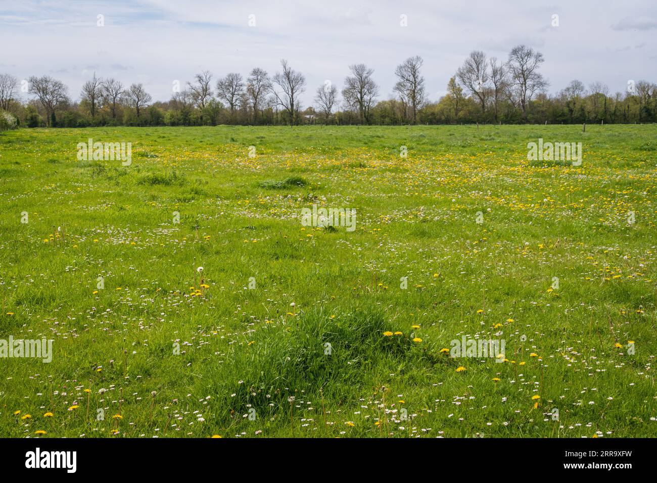 The Easy Company - 101. Flugzeugedenkmal Stockfoto