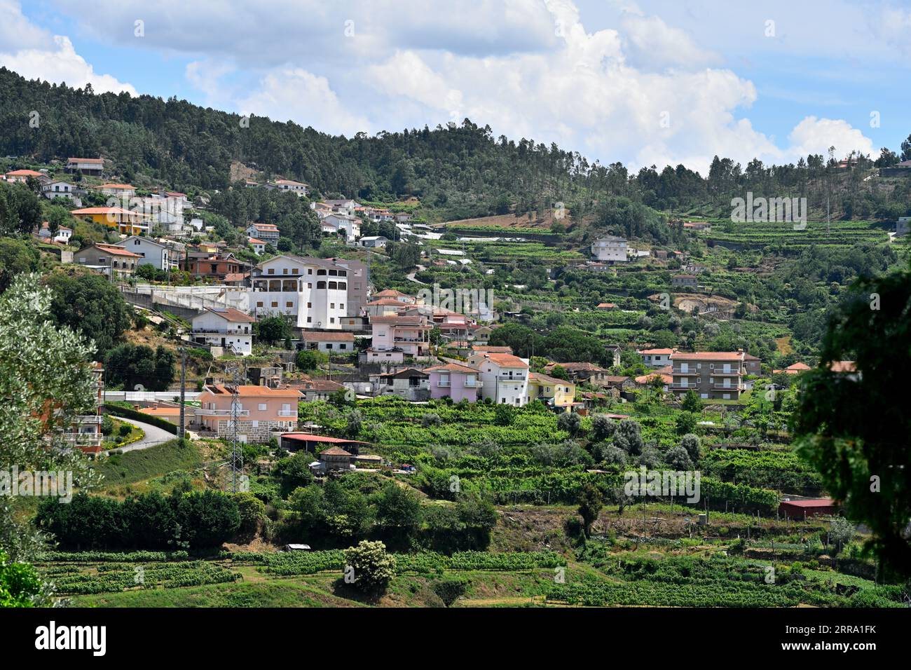 Landschaftsblick über Dorf und Berge im Bezirk Aveiro im Norden Portugals Stockfoto