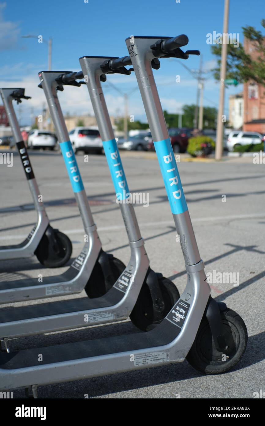 Elektroroller für Vogeltouren in Bay City Michigan Stockfoto