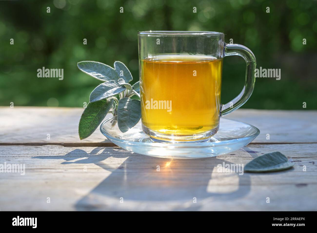 Salbei Tee in einem Glasbecher auf einem Holztisch, gesundes Heißgetränk und Hausmittel gegen Husten, Halsschmerzen, Verdauungsprobleme, Gingivitis und Schwitzen, dar Stockfoto