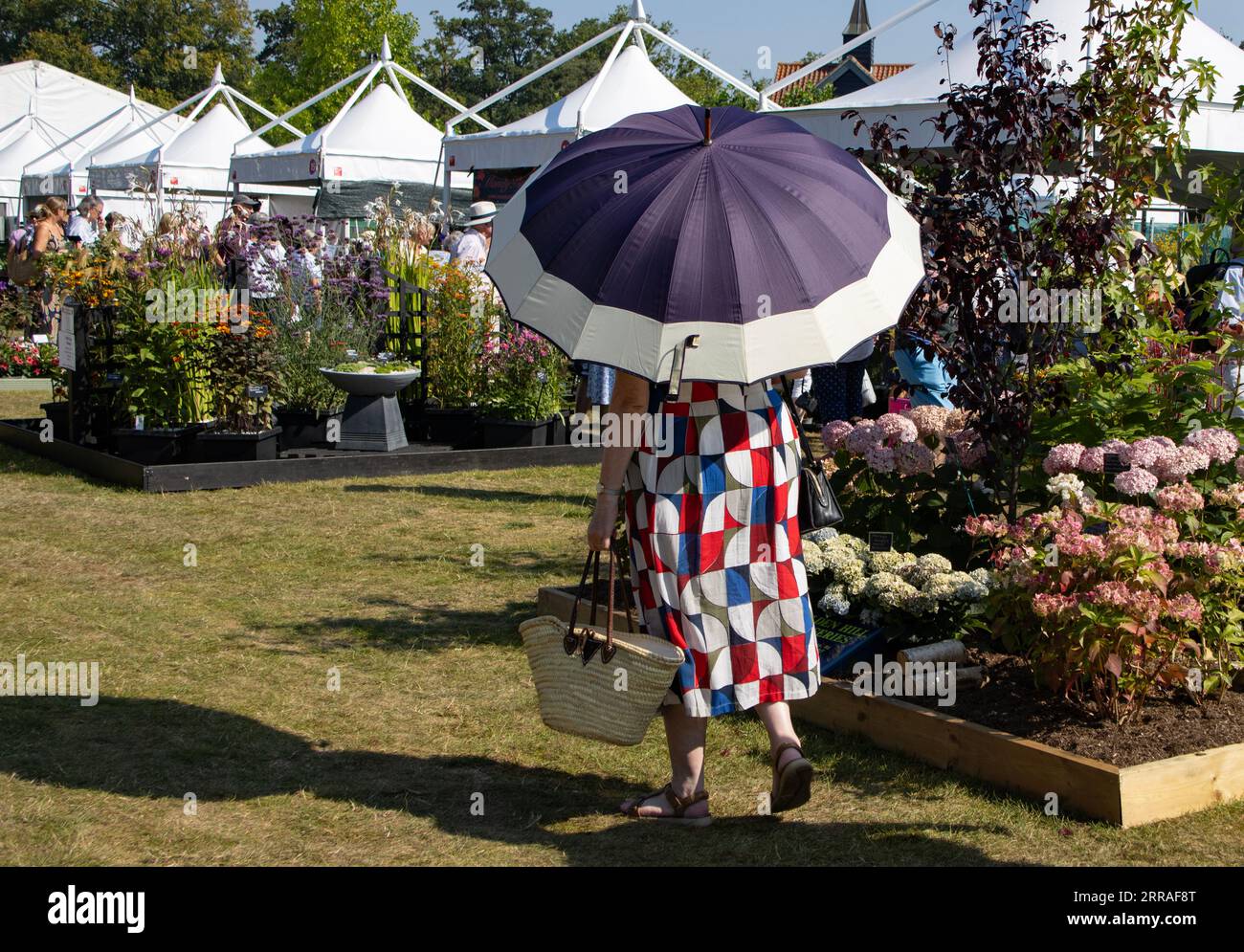 Gartenbaubegeisterte genießen die heißen Temperaturen bei der RHS Wisley Annual Flower Show in Surrey, England, Großbritannien. September 2023. Quelle: Jeff Gilbert/Alamy Live News Stockfoto