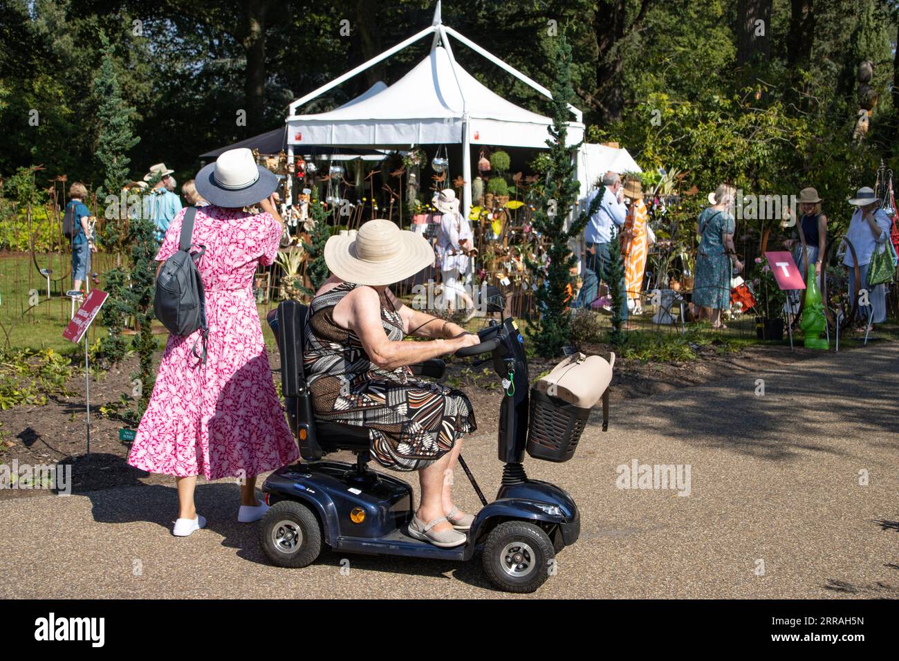 Gartenbaubegeisterte genießen die heißen Temperaturen bei der RHS Wisley Annual Flower Show in Surrey, England, Großbritannien. September 2023. Quelle: Jeff Gilbert/Alamy Live News Stockfoto