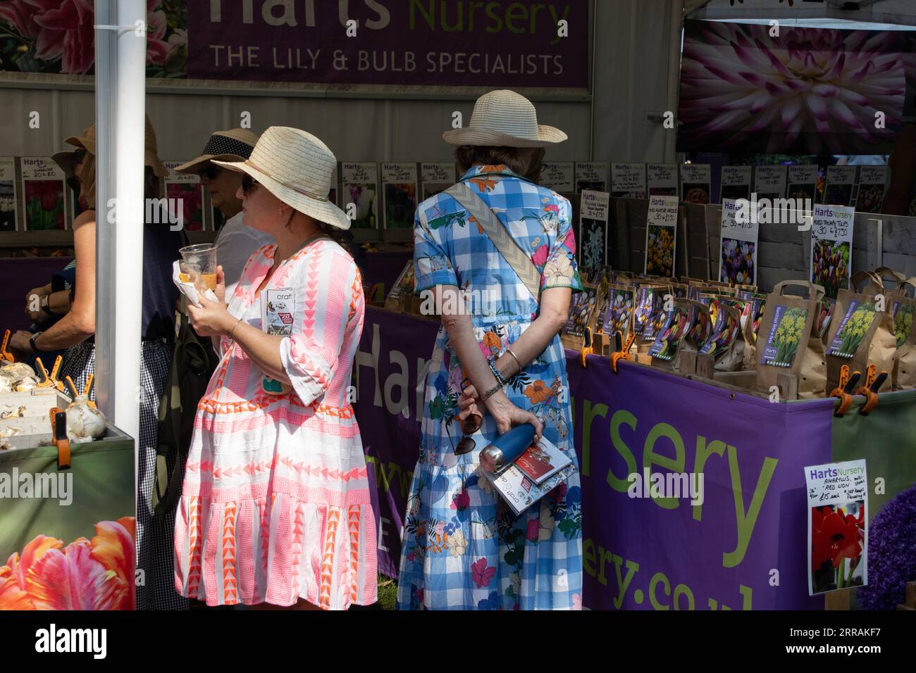 Gartenbaubegeisterte genießen die heißen Temperaturen bei der RHS Wisley Annual Flower Show in Surrey, England, Großbritannien. September 2023. Quelle: Jeff Gilbert/Alamy Live News Stockfoto Gartenbaubegeisterte genießen die heißen Temperaturen bei der RHS Wisley Annual Flower Show in Surrey, England, Großbritannien. September 2023. Quelle: Jeff Gilbert/Alamy Live News Stockfoto