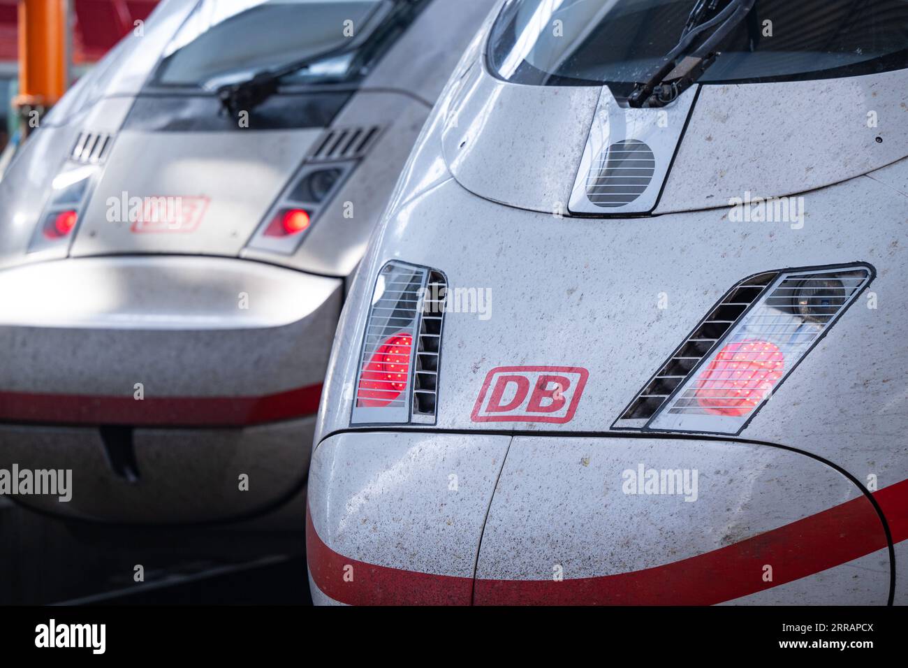 München, Deutschland. September 2023. Zwei ICE-Züge stehen am Hauptbahnhof auf dem Gleis. Nach einem Oberleitungsschaden in München wurde der Fernverkehr vom und zum Münchner Hauptbahnhof eingestellt. Lennart Preiss/dpa/Alamy Live News Stockfoto