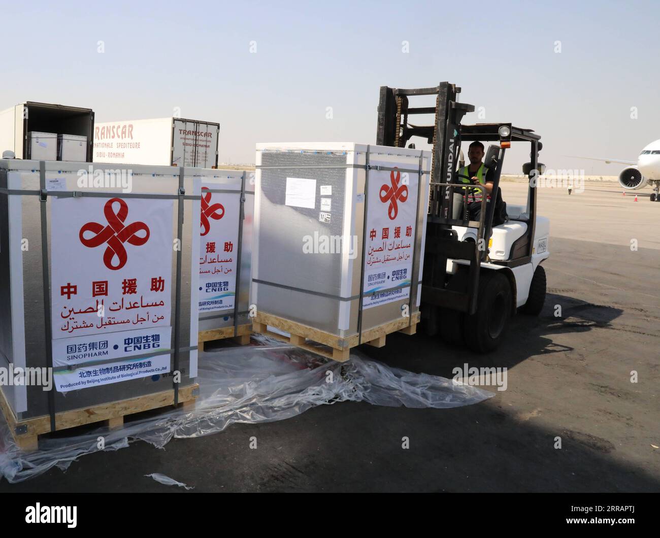 210813 -- BAGDAD, 13. August 2021 -- Ein Arbeiter transportiert am 12. August 2021 COVID-19-Impfstoffe am internationalen Flughafen Bagdad in Irak. Der Irak erhielt am Donnerstag eine dritte Reihe von COVID-19-Impfstoffen, die von der chinesischen Regierung aufgrund eines Anstiegs der Coronavirus-Infektionen aufgrund der Ausbreitung der Delta-Variante gespendet wurden. IRAK-BAGDAD-CHINESEN GESPENDETEN IMPFSTOFF-ANKUNFT XINHUA PUBLICATIONXNOTXINXCHN Stockfoto