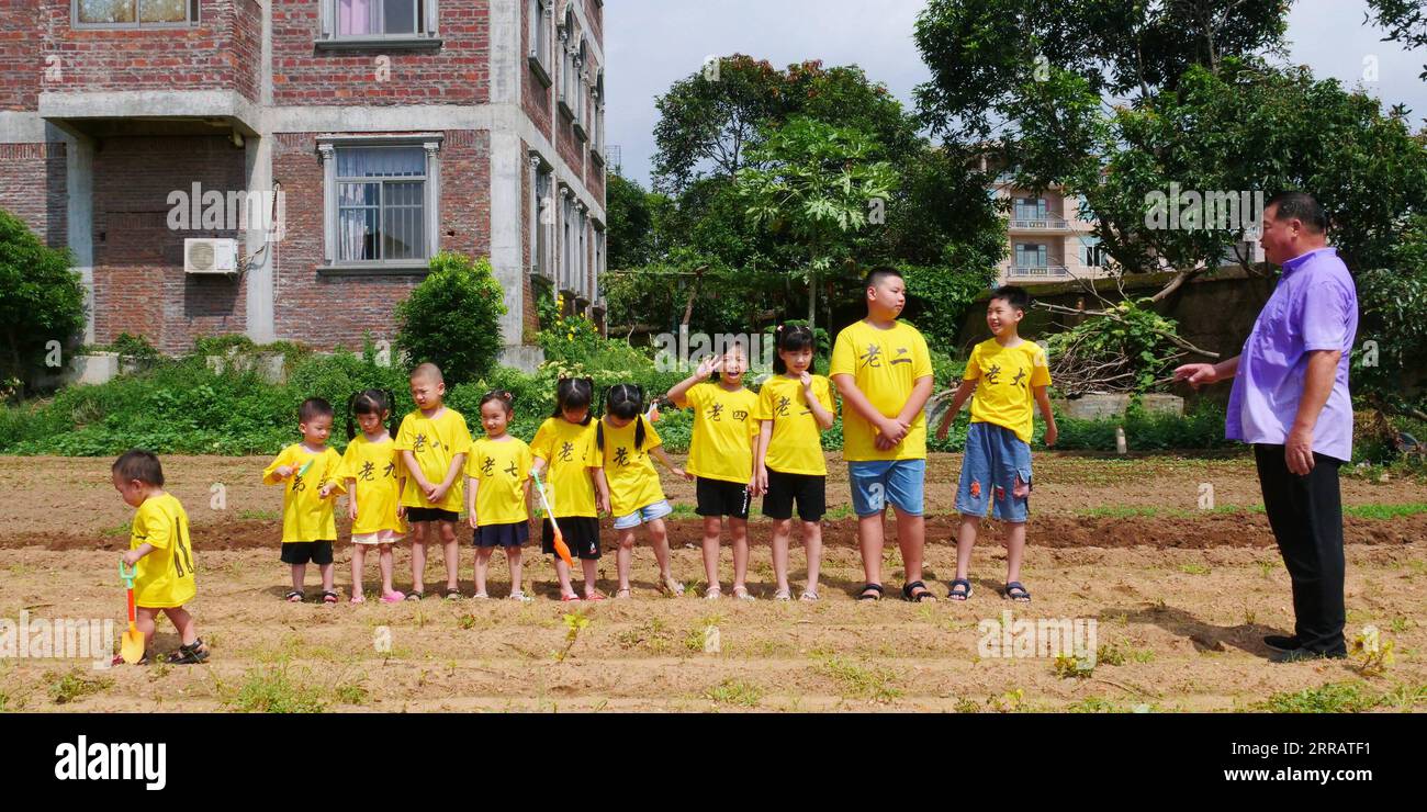 210816 -- FUZHOU, 16. August 2021 -- Huang Binghong führt seine Enkelkinder an, die Gemüse im Dorf Bangtou, Bezirk Chengxiang von Putian, südöstliche chinesische Provinz Fujian, Pflanzen, 15. August 2021. Huang Binghong, 60, hat 11 Enkelkinder im Alter von 16 Monaten bis 12 Jahren. Jeden Sommer treffen sich seine Enkelkinder im Dorf, um ihren Sommerurlaub mit Huang zu verbringen. Huang nimmt sie mit, um viele Arten von landwirtschaftlichen Arbeiten zu erleben. In der Stadt leben Obst und Gemüse in Reichweite des Kühlschranks für sie. Durch die Erfahrung der Wehen konnten sie besser wissen, dass es so ist Stockfoto