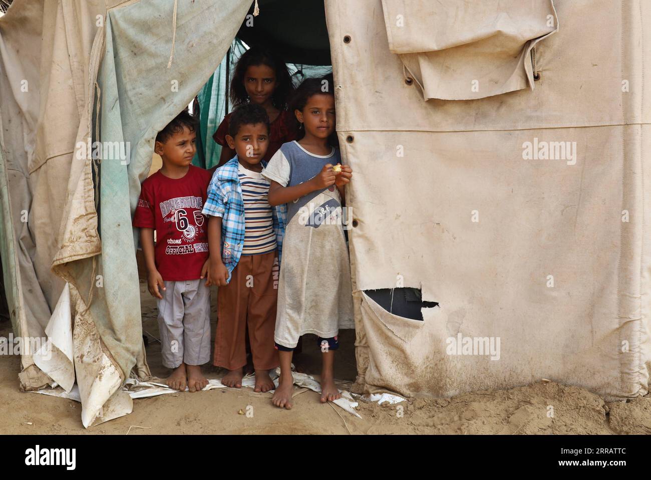 210817 -- HAJJAH, 17. August 2021 -- Kinder werden am 14. August 2021 in einem abgelegenen Dorf im Bezirk Midi in der Provinz Hajjah im Nordjemen gesehen. In den belagerten Bezirken der Provinz Hajjah im Nordjemen wurden laut den örtlichen Gesundheitsbehörden seit mehr als drei Jahren etwa 11.350 Kinder nicht gegen vermeidbare Krankheiten geimpft. ZU GEHEN MIT Feature: Über 11.000 Kinder in der belagerten jemenitischen Provinz Hajjah verlassen ungeimpft für 3 Jahre Foto von /Xinhua JEMEN-HAJJAH-KINDER-IMPFSTOFF MANGEL MohammedxAl-Wafi PUBLICATIONxNOTxINxCHN Stockfoto