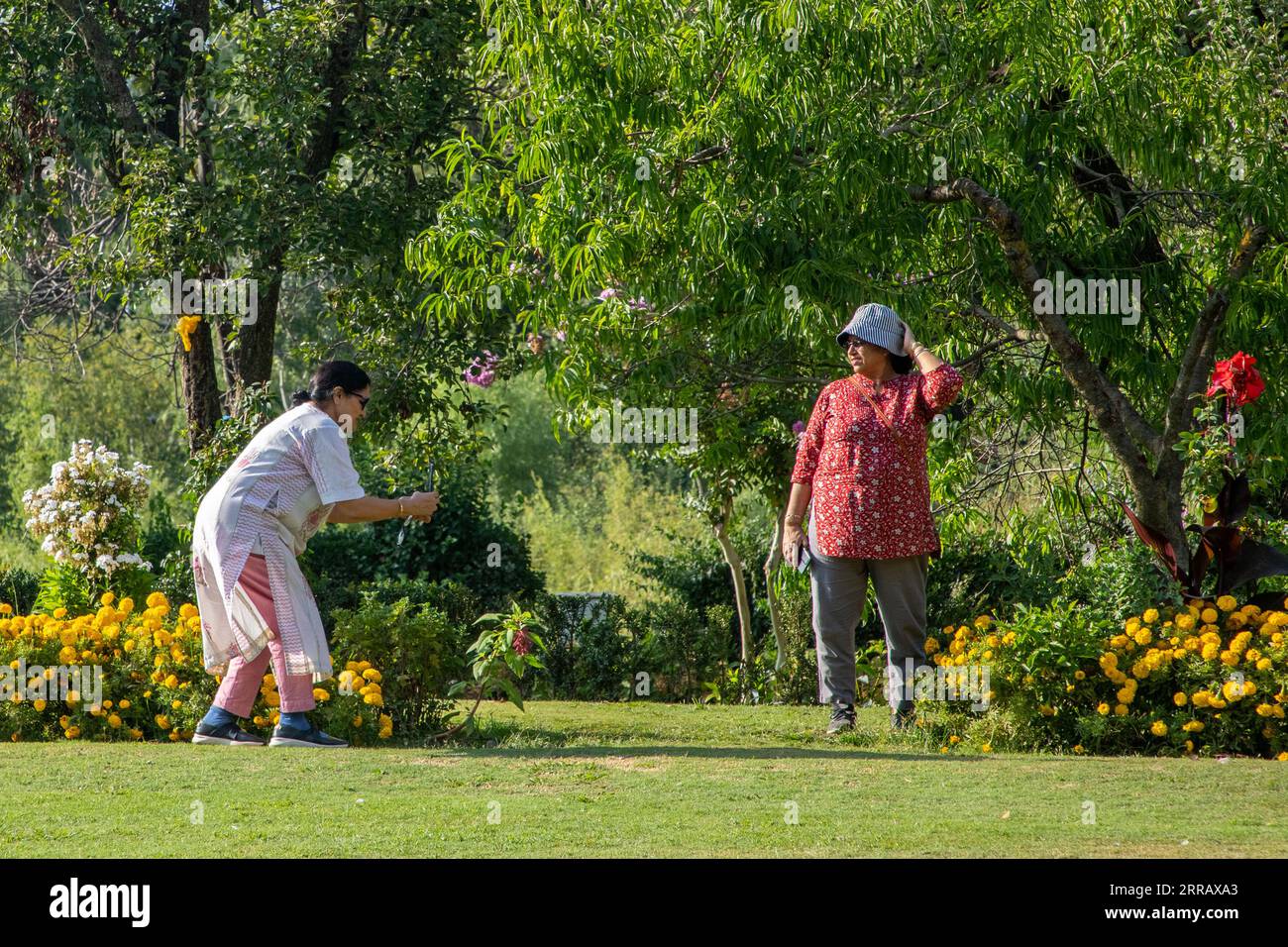 Srinagar, Indien. September 2023. Touristen spazieren im Nishat-Garten, dem zweitgrößten terrassierten Mogulgarten im Tal, der am Ufer des weltberühmten Dal-Sees in Srinagar erbaut wurde. Vizegouverneur sagte, dass fast 12 Millionen Touristen Jammu und Kaschmir in den ersten sieben Monaten des Jahres 2023 besucht haben und die Zahl bis Ende des Jahres 20 Millionen überschreiten wird. (Foto: Faisal Bashir/SOPA Images/SIPA USA) Credit: SIPA USA/Alamy Live News Stockfoto