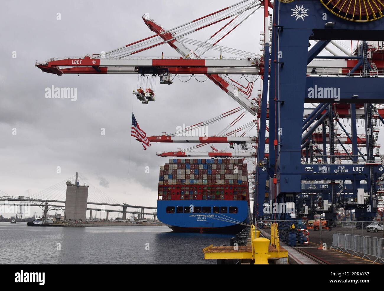 210821 -- LOS ANGELES, 21. Aug. 2021 -- Ein Containerschiff der chinesischen COSCO Shipping dockt an einem neuen Containerterminal des Hafens von Long Beach in Kalifornien, USA, 20. Aug. 2021. Der Hafen von Long Beach, der zweitgrößte Hafen der USA, gab am Freitag die Fertigstellung eines neuen Containerterminals mit 1,5 Milliarden US-Dollar bekannt, das zu einer der technologisch fortschrittlichsten Frachtanlagen der Welt werden soll. Allein der Hafen von Long Beach kümmert sich um den Handel im Wert von rund 170 Milliarden Dollar pro Jahr und unterstützt 2,6 Millionen Arbeitsplätze im ganzen Land und jeder fünfte Job in Long Beach. USA Stockfoto