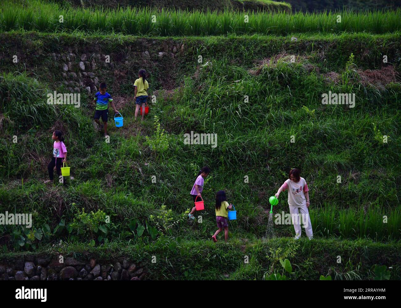 210822 -- RONGSHUI, 22. August 2021 -- Kolloge Schüler Pan Muzhi 1st R Waters Saplings mit lokalen Schülern im Wuying Village, das an der Grenze zwischen der südchinesischen autonomen Region Guangxi Zhuang und der südwestchinesischen Provinz Guizhou liegt, am 14. Juli 2021. Im Sommer 2021 führte ein ehrenamtliches Team aus Studenten und Mittelschülern die lokalen Schüler zu verschiedenen Aktivitäten wie der Pflege von Setzlingen, dem Erlernen immaterieller Kulturgüter und dem Sammeln alter landwirtschaftlicher Werkzeuge für Museen. CHINA-GUANGXI-WUYING DORF-STUDENTEN SOMMERURLAUB CN HUANGXXIAOBANG ÖFFENTLICHKEIT Stockfoto