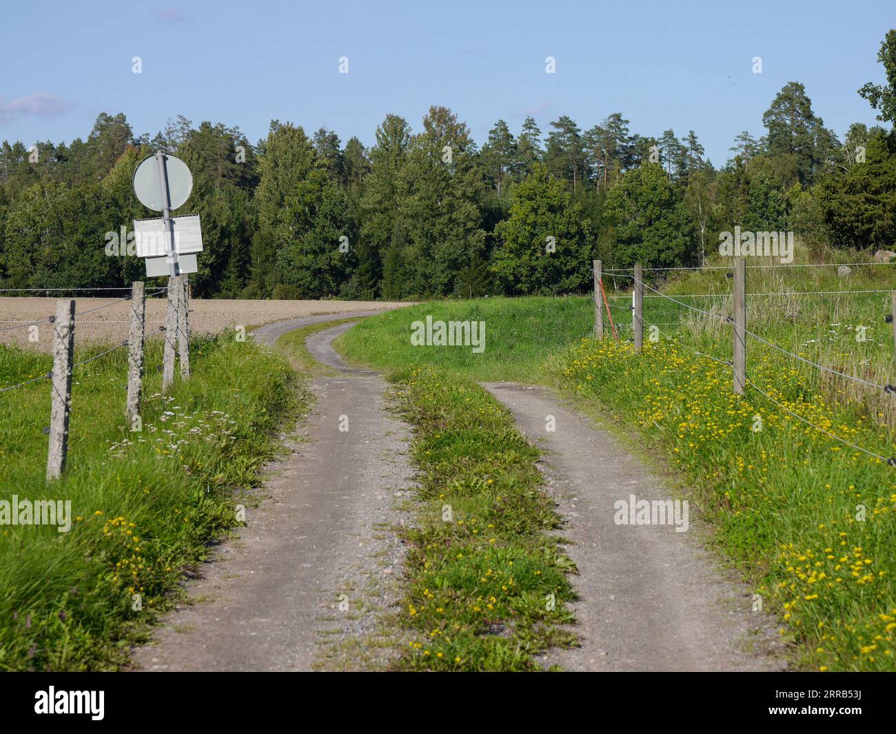 Eine unbefestigte Straße über einem Feld im Sommer Stockfoto