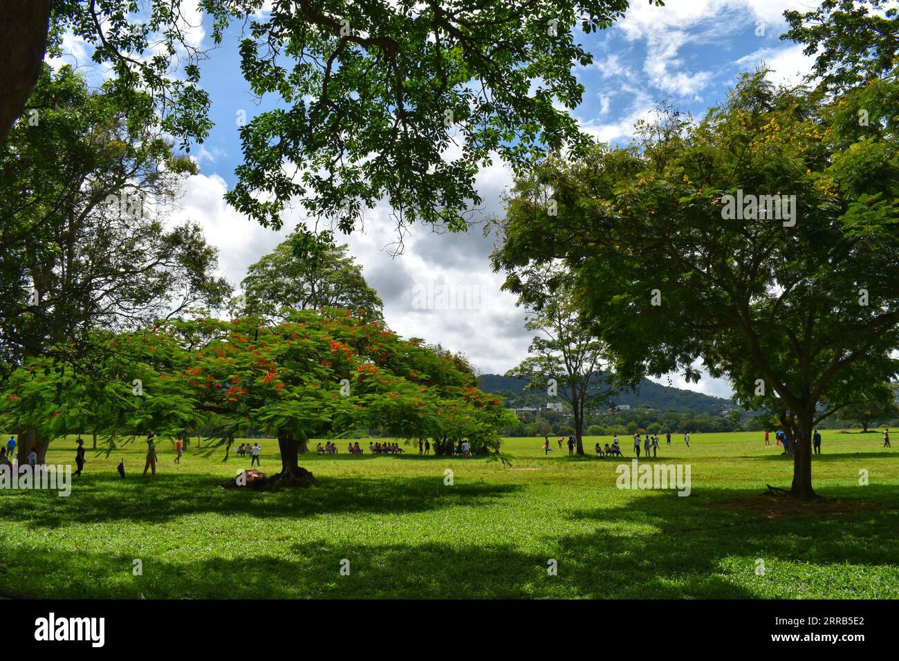 Queen's Park Savannah, Port of Spain, Trinidad und Tobago Stockfoto