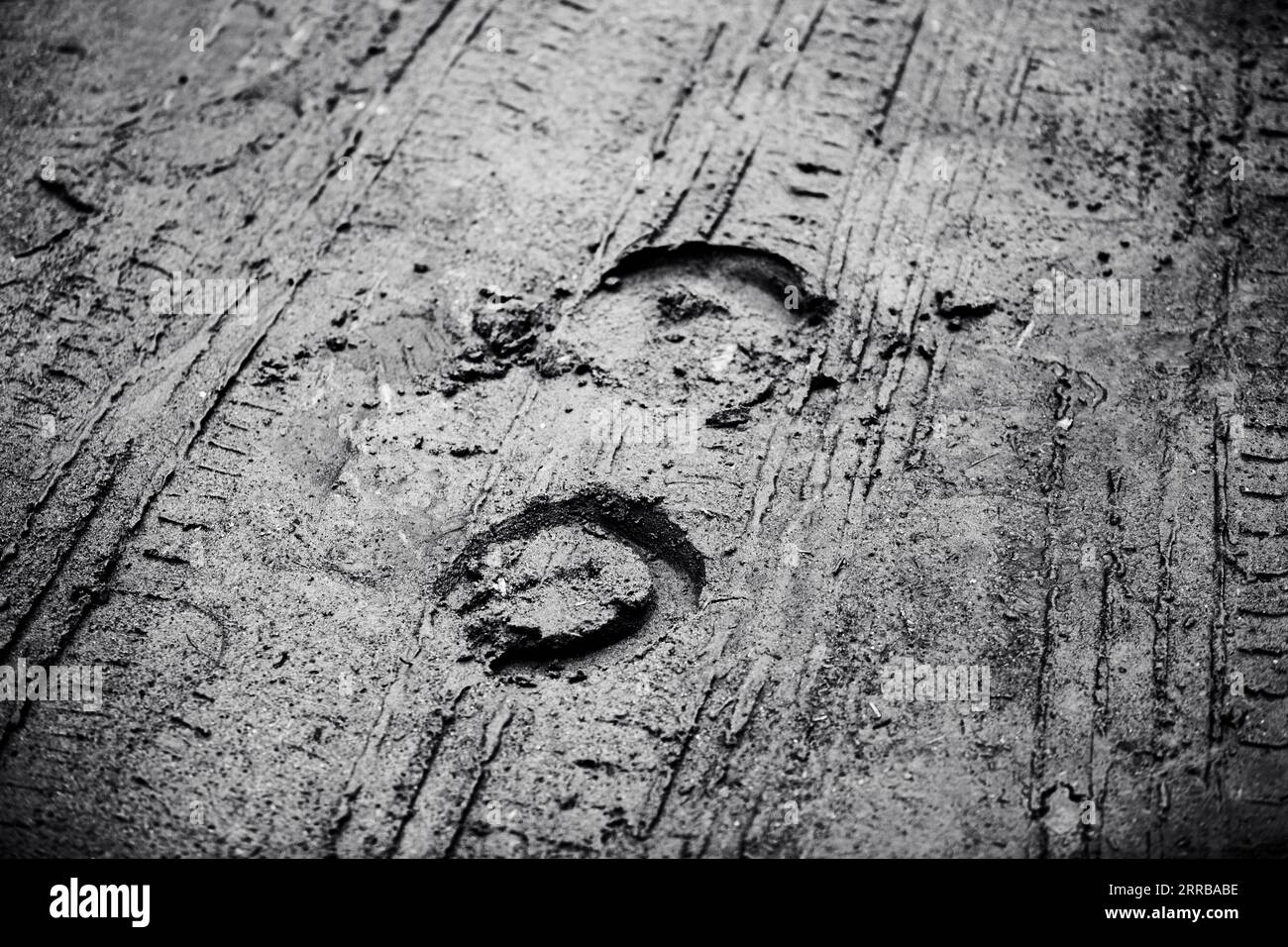 Das schwarz-weiße Foto zeigt die Spuren von Pferdehufen und Hufeisen auf einer nassen Landstraße, die zuvor von Automobilen befahren wurde. Nostalgie. Traditi Stockfoto