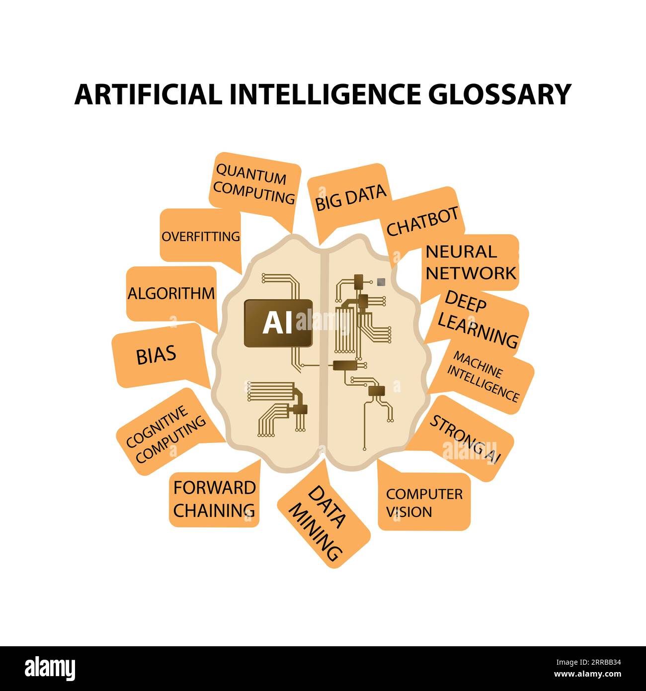 Gehirn mit Schaltkreisen und mit dem Wort AI im Text Glossar Künstliche Intelligenz Stock Vektor