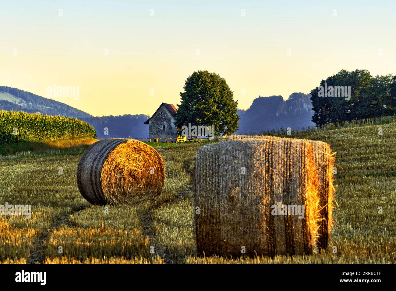 Schällhüsli in der Gemeinde Brislach BL Stockfoto