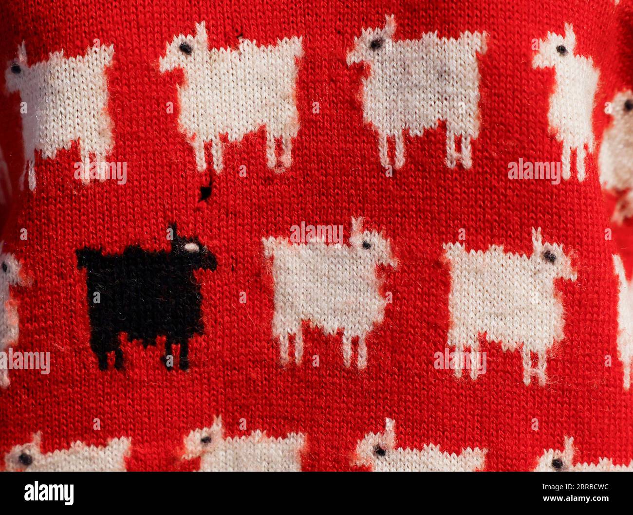 New York, Usa. September 2023. Prinzessin Diana's warm & Wonderful Black Sheep Sweater ist am Donnerstag, den 7. September 2023 in New York City bei einer Presseveröffentlichung für Sotheby's Eröffnungsverkauf von Fashion Icons zu sehen. Der schwarze Schafpullover ist eines der kultigsten Kleidungsstücke, die Prinzessin Diana je auf den Markt gebracht hat. Foto von John Angelillo/UPI Credit: UPI/Alamy Live News Stockfoto