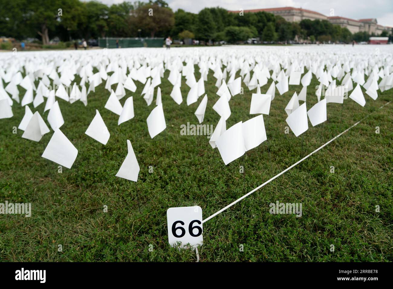 210916 -- WASHINGTON, 16. September 2021 -- am 16. September 2021 werden weiße Flaggen auf der National Mall in Washington, D.C., USA, gesehen. Mehr als 660.000 weiße Flaggen wurden hier angebracht, um die durch COVID-19 in den Vereinigten Staaten verloren gegangenen Leben zu ehren. U.S.-WASHINGTON, D.C.-NATIONAL MALL-WHITE FLAGS-TOTE DURCH COVID-19 LIUXJIE PUBLICATIONXNOTXINXCHN Stockfoto