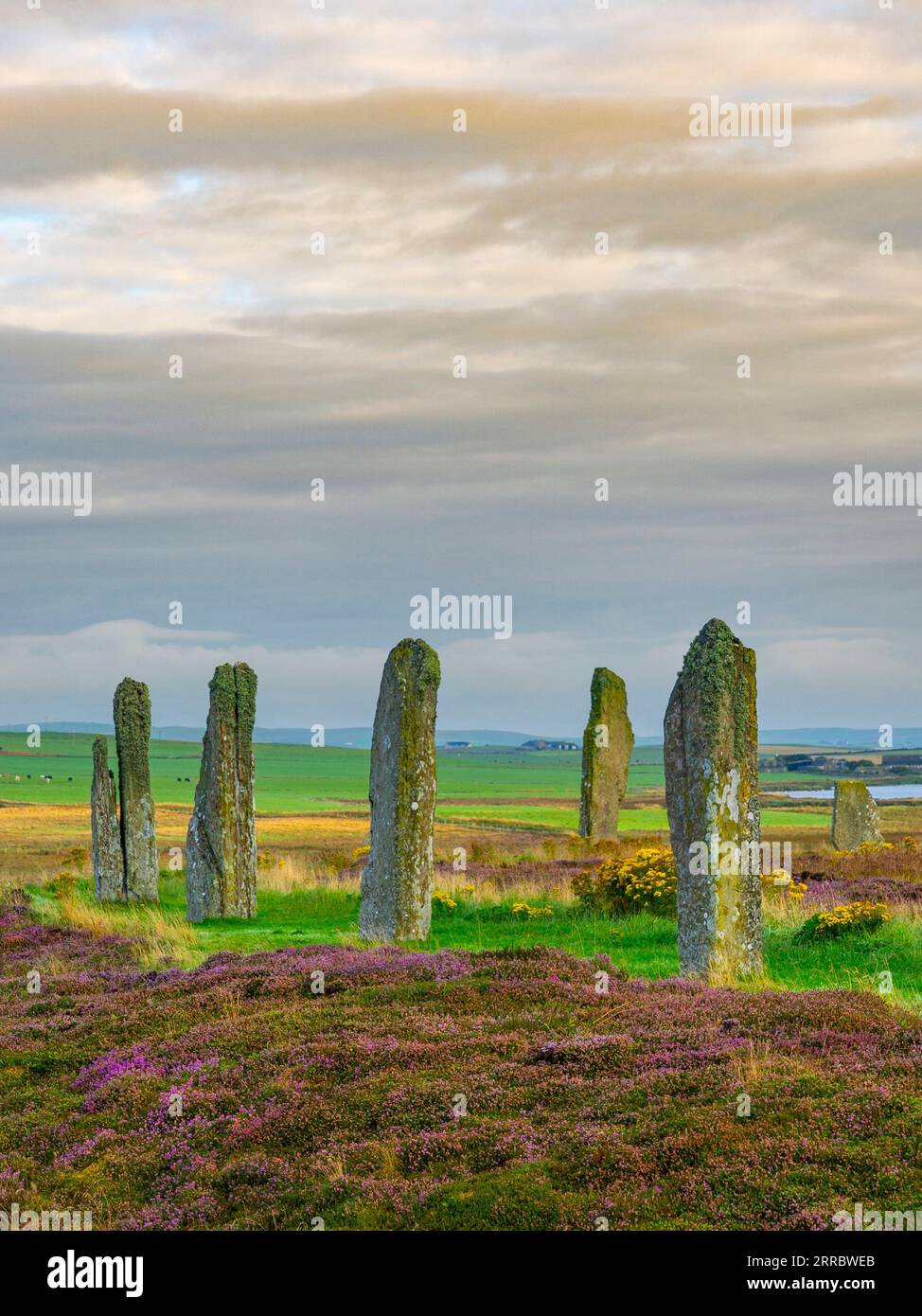 Frühmorgendliches Licht am Ring of Brodgar neolithische Henge und Steinkreis auf dem West-Festland, Orkney Islands, Schottland, Großbritannien. Stockfoto