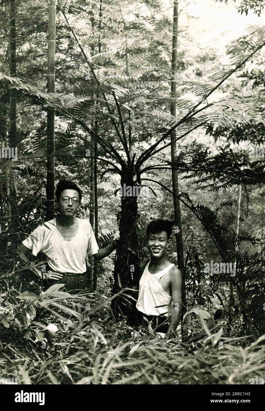 211013 -- CHENGDU, 13. Oktober 2021 -- ein 1963 aufgenommenes Aktenfoto zeigt Yin Kaipu R, der mit seinem Kollegen während einer Vegetationsuntersuchung im Xuyong County in der südwestlichen chinesischen Provinz Sichuan arbeitet. Yin, ein 78-jähriger, renommierter Ökologe in China, widmet sich seit mehr als sechs Jahrzehnten dem Schutz der biologischen Vielfalt. Nach seinem Schulabschluss im Jahr 1960 arbeitete Yin am Chengdu Institute of Biology der Chinesischen Akademie der Wissenschaften CAS und beschäftigte sich hauptsächlich mit der Erforschung und Erhaltung biologischer Ressourcen. 1978 schlug Yin vor, die Naturschutzgebiete Jiuzhaigou und Yading zu gründen Stockfoto