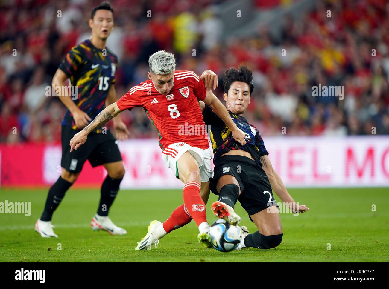 Wales' Harry Wilson wird von Südkoreas Seol Young-woo (rechts) während des Freundschaftsspiels im Cardiff City Stadium in Cardiff angegriffen. Bilddatum: Donnerstag, 7. September 2023. Stockfoto